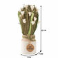 Serene Blooms - Dry  white Rose floral arrangement in ceramic pot